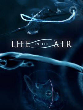 空中的生命
