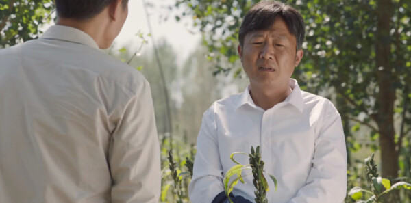 山河锦绣第31集剧照