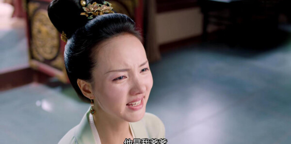 鹤唳华亭第33集剧照